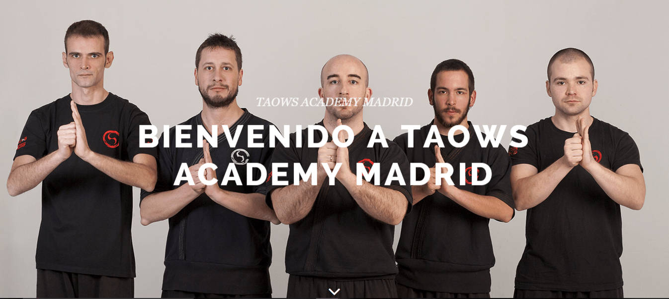 Wing Tsun Madrid