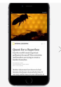 instant articles