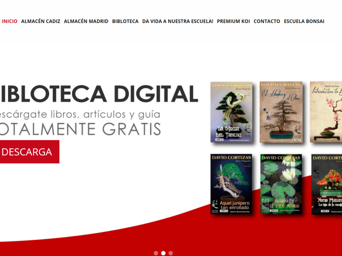 Renovación De La Tienda De Escuela De Bonsai Online Smythsys It Consulting